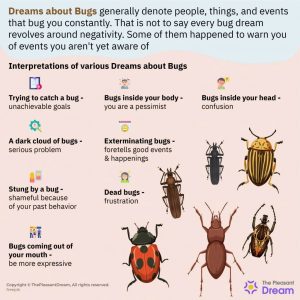 Dreams-About-Bugs-91-Scenarios-Its-Meanings-1024x1024 (1)