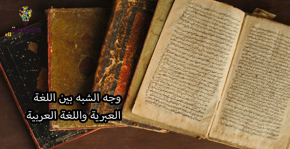 وجه الشبه بين اللغة العبرية واللغة العربية  